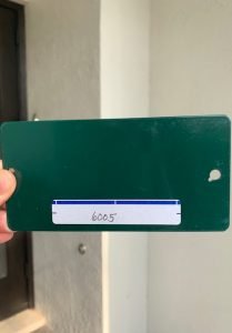 Green color swatch labeled 6005 held outside.
