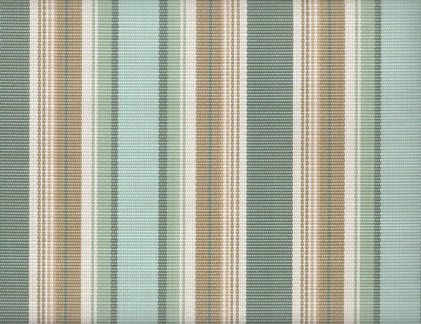 FS-051 Raleigh Stripe