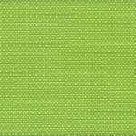 FX-465 Slingweave Key Lime